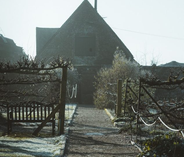 Tips Om Je Tuin Winterklaar Te Maken Ginafrallypower